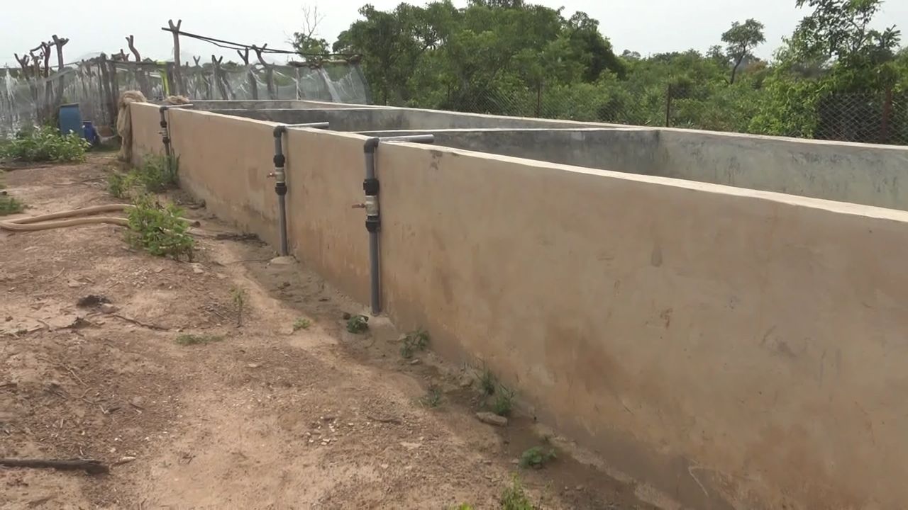 Bassins piscicoles